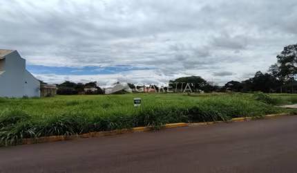 AMPLO TERRENO PARA VENDA NA VILA INDUSTRIAL, TOLEDO - PR