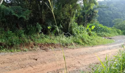 Terreno à venda, 250 m² por R$ 120.000,00 - Ponte Seca - Ribeirão Pires/SP