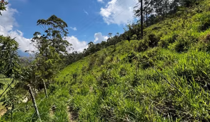 Terreno à venda, 503 m² por R$ 70.000,00 - Campo do Coelho - Nova Friburgo/RJ