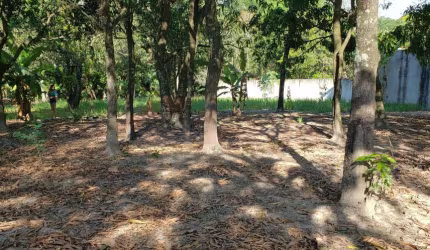 Terreno à venda na Dos Pinheiros, Casa Verde, Monte Mor por R$ 185.000
