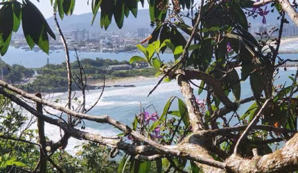 TERRENO com 4500 metros quadrados em Cabeçudas - Itajaí - SC