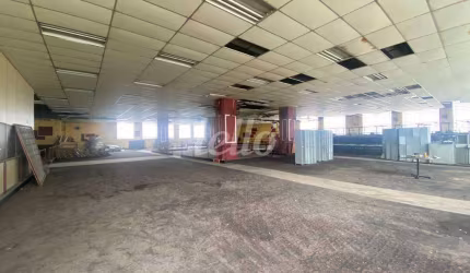 Ponto comercial com 3 salas para alugar na Rua Maurício Jacquey, --, Vila Helena, São Bernardo do Campo, 1300 m2 por R$ 29.000