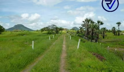 Chácara / sítio com 5 quartos à venda na Br 222 Km 25, 25, Centro, Caucaia por R$ 6.000.000