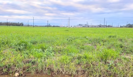 Terreno para Venda em Forquilhinha, Luiz Tiscoski