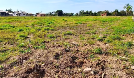 Terreno para Venda em Forquilhinha, Santa Cruz