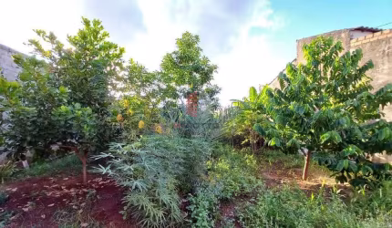 Casa à venda, 2 quartos, 2 vagas, Parque Residencial Cândido Portinari - Ribeirão Preto/SP