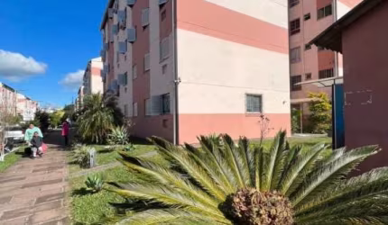 Apartamento Padrão para Venda em Rubem Berta Porto Alegre-RS