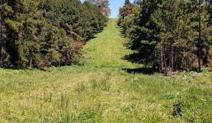 Chácara à venda, 12000 m² por R$ 260.000,00 - Zona Rural - Tijucas do Sul/PR