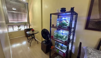 Apartamento com 3 quartos à venda em Rio Comprido - RJ