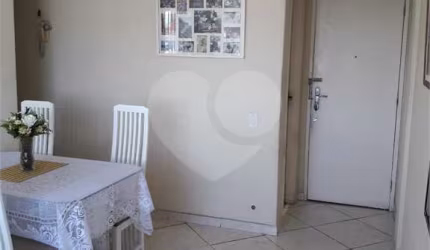 Apartamento com 3 quartos à venda em São Francisco Xavier - RJ