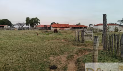 EXCELENTE SÍTIO DE 12,7 ALQUEIRES EM ITAPETININGA/SP: INVESTIMENTO IDEAL PARA HARAS, LAVOURA OU GADO