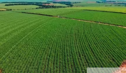 Fazenda à venda na Fernandópolis, Centro, Fernandópolis por R$ 7.050.000