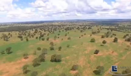 Ótima fazenda na pecuaria para venda em Itaruma-GO com 503 hectares, benfeitorias, boa de agua e topografia plana