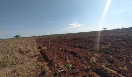 Fazenda para venda na região de Querencia-MT com 760 hectares sendo 600 hectares abertos em pastagem, boa de agua e benfeitorias