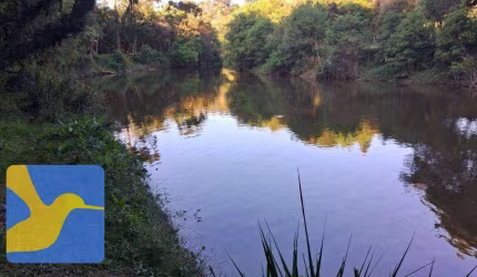 Terreno à venda, 6000 m² por R$ 145.000,00 - Zona Rural - Quitandinha/PR
