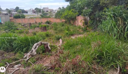 Terreno para Venda em Florianópolis, Rio Vermelho