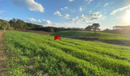 Chácara com 114.345m² , à venda, no bairro Colônia Murici em São José dos Pinhais