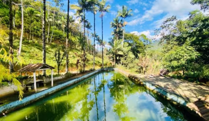 Chácara / sítio com 4 quartos à venda no Lageado Baixo, Guabiruba , 160 m2 por R$ 1.590.000