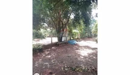 'Refúgio Perfeito em Estiva Gerbi, São Paulo'
