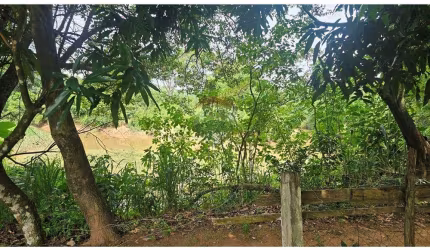 A CHÁCARA DO RIO CAMANDUCAIA EM JAGUARIÚNA