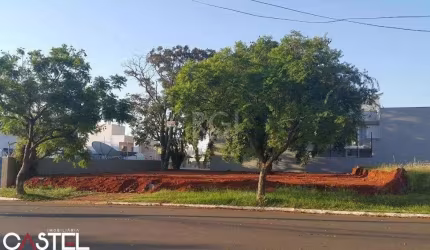 Terreno para Venda - 0m², 0 dormitórios, Nossa Senhora das Graças