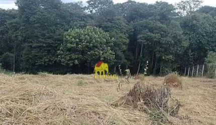 Terreno à venda, 1000 m² por R$ 235.000 - Campo Largo - Jarinu/São Paulo