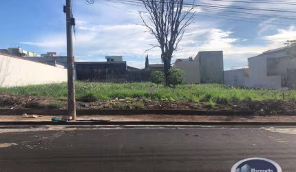 Terreno à venda, 1620 m² por R$ 1.480.000 - Vila Monte Alegre - Ribeirão Preto/SP