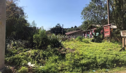 TERRENO À VENDA, 1000 M²  - VILA DO CEDRO - CANELA/RS, Santa Terezinha, Canela - RS