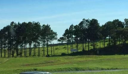 Terreno, 10900 m² - venda por R$ 3.900.000,00 ou aluguel por R$ 10.000,00/mês - Vila Artura - Sorocaba/SP
