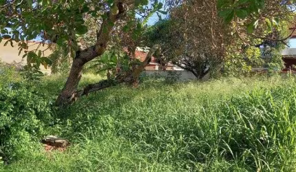 Excelente Terreno na Rua dos Babaçus em Itaúna - Saquarema - RJ.