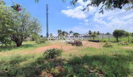 Terreno à venda, Jardim Karaíba - Uberlândia/MG