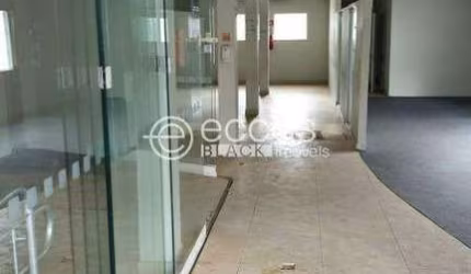 Imóvel Comercial para aluguel, 29 vagas, Nossa Senhora da Abadia - UBERABA/MG