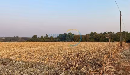 Chácaras_Prop rurais à venda, 75725.73 m2 por R$5500000.00  - Rural - Londrina/PR