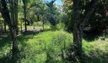 Chácara à Venda em Silva Jardim/RJ - Bairro Fazenda Brasil - 7.200 m²