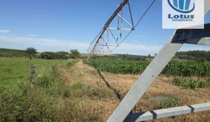 Fazenda à venda - Vargem Grande do Sul/SP