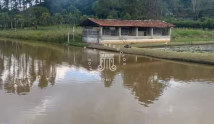 Chácara a venda com 2 casas na cidade de Jarinu/SP com divisa para Campo Limpo Paulista/SP