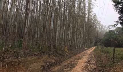 Chácara / sítio com 1 quarto à venda na Zona Rural, Biritiba-Mirim  por R$ 2.400.000