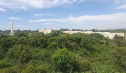 Apartamento para Venda em Araraquara, Solidariedade, 2 dormitórios, 1 banheiro, 1 vaga