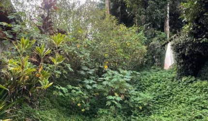 Terreno à venda na Rua Jacob Eisenhuth, --, Atiradores, Joinville por R$ 1.400.000