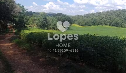 Terreno comercial à venda na Rodovia dos Minérios, 7988, Tranqueira, Almirante Tamandaré, 14519 m2 por R$ 3.000.000