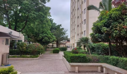 Apartamento com 2 dormitórios à venda, 52 m² por R$ 288.000,00 - Vila Antonieta - São Paulo/SP