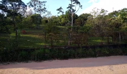 Terreno Área em Jacareí