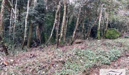 Terreno Residencial à venda, Caucaia do Alto, Cotia - .