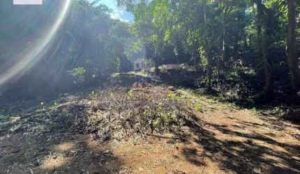 Espetáculo de sitio com 2 nascentes, 40mil m² em Santo Antônio