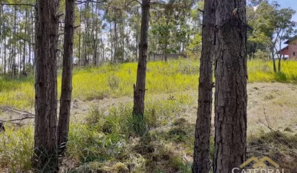 Terreno à venda, 3200 m² por R$ 660.000,00 - Caxambu - Jundiaí/SP
