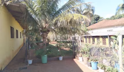 Casa residencial disponível para venda no bairro Presidente Roosevelt em Uberlândia-MG