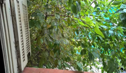 Casa em condomínio fechado com 2 quartos à venda na Rua Dom Duarte Leopoldo, 282, Cambuci, São Paulo, 80 m2 por R$ 430.000