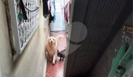 Casa em condomínio fechado com 2 quartos à venda na Rua Ausonia, 497, Vila Mazzei, São Paulo, 120 m2 por R$ 480.000