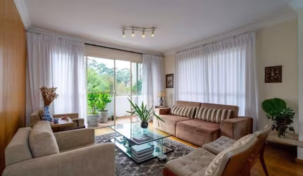 VSC 251 Apto theremaxcollection-PLWLF