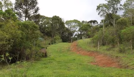Chácara / sítio à venda na ESTRADA GERAL, Penha, Paulo Lopes por R$ 3.900.000